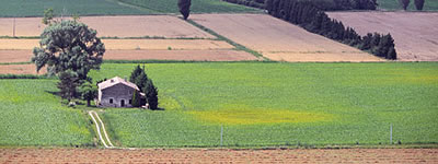 contaminated land reclamation